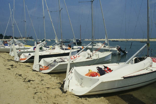 cap ferret 2