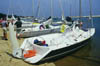Cap ferret 3