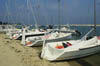 cap ferret 2