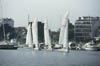 dans le port