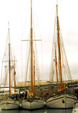 Croisière des 20 ans
