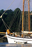 Croisière des 20 ans