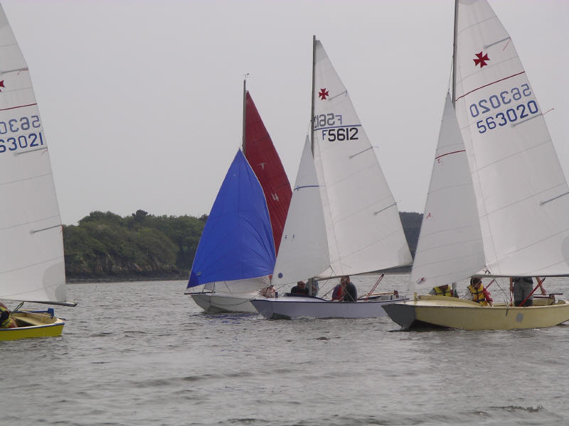 IMGP2193