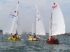 Cliquez ici pour voir l'image (PICT0241.JPG)