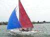 Cliquez ici pour voir l'image (PICT0365.JPG)