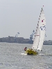 Cliquez ici pour voir l'image (PICT0384.JPG)