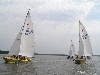 Cliquez ici pour voir l'image (PICT0434.JPG)