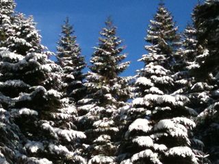 Hiver