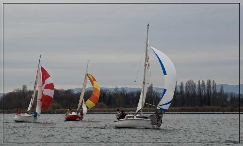 Cliquer pour agrandir