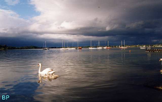 Cliquer pour agrandir