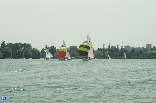 Cliquer pour agrandir